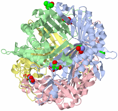 Image Asym./Biol. Unit