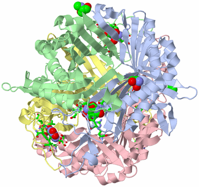 Image Asym./Biol. Unit - sites