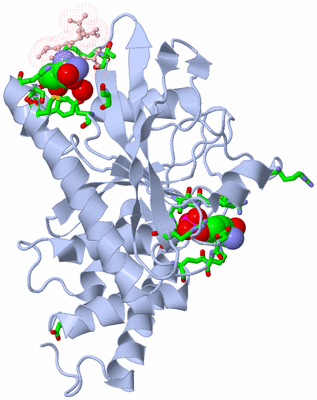 Image Biol. Unit 1 - sites