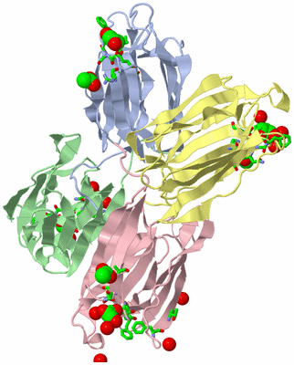 Image Asym./Biol. Unit - sites