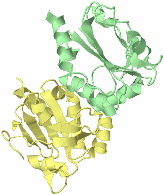 Image Biological Unit 2