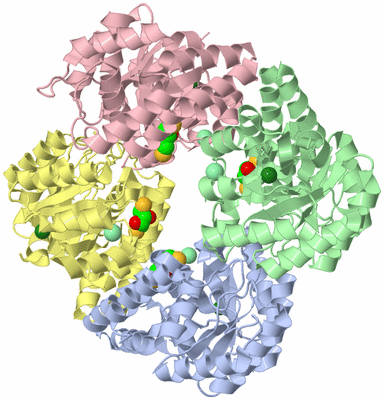 Image Biological Unit 1