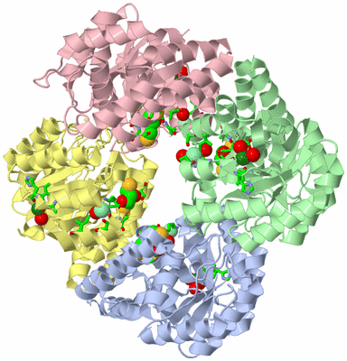 Image Biol. Unit 1 - sites