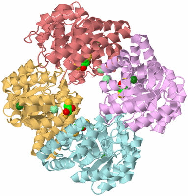 Image Biological Unit 2