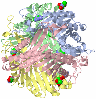Image Biological Unit 1