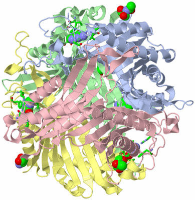 Image Biol. Unit 1 - sites