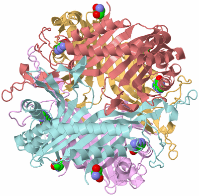 Image Biological Unit 2