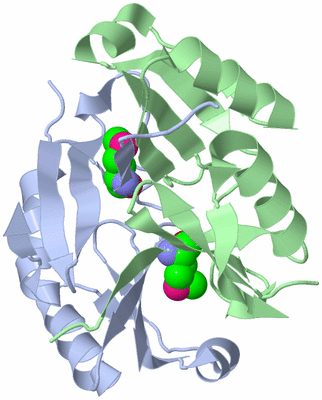 Image Asym./Biol. Unit