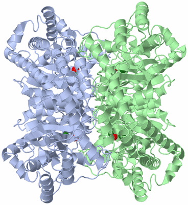 Image Biological Unit 1