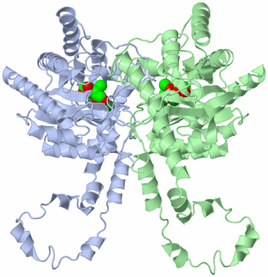 Image Asymmetric Unit