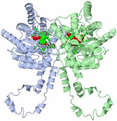 Image Asym. Unit - sites