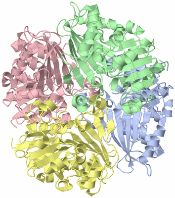 Image Asym./Biol. Unit