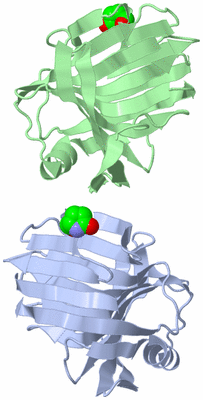 Image Asymmetric Unit