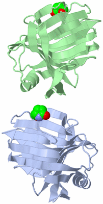 Image Asymmetric Unit