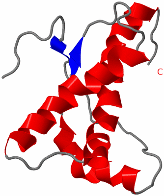 Image NMR Structure - model 1