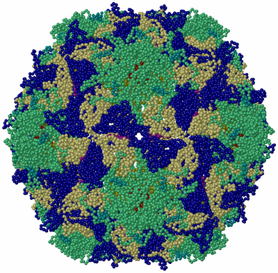 Image Biological Unit 1