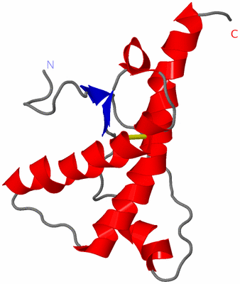 Image NMR Structure - model 1