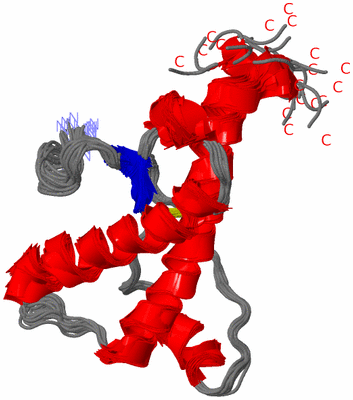 Image NMR Structure - all models