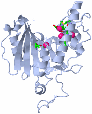 Image Biol. Unit 1 - sites