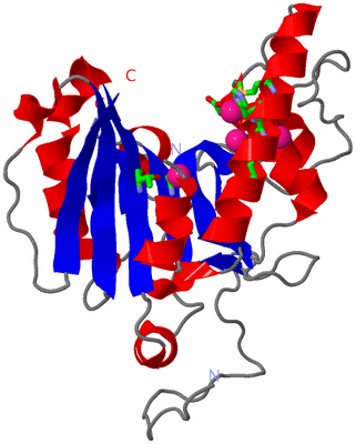 Image Asym. Unit - sites