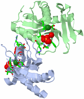 Image Asym./Biol. Unit - sites