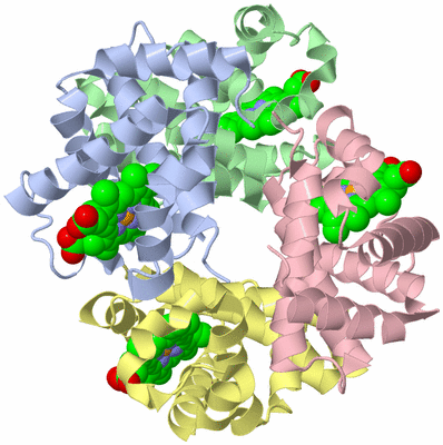 Image Asym./Biol. Unit