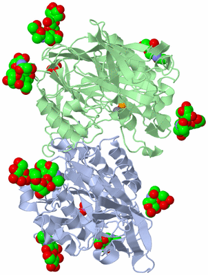 Image Asym./Biol. Unit