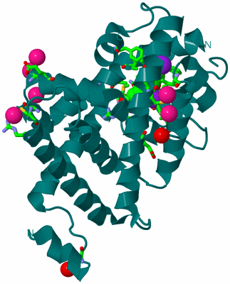 Image Biol. Unit 1 - sites