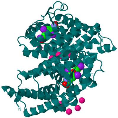 Image Biological Unit 2