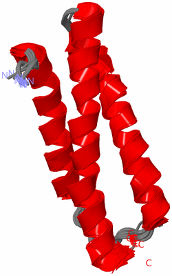 Image NMR Structure - all models