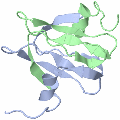 Image NMR Structure - model 1