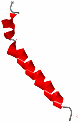 Image NMR Structure - model 1