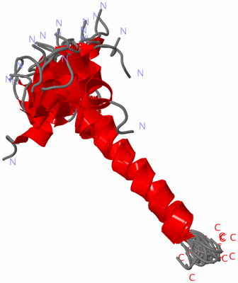 Image NMR Structure - all models