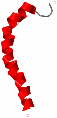 Image NMR Structure - model 1