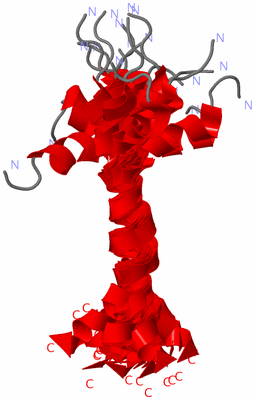 Image NMR Structure - all models