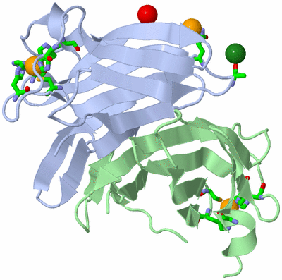 Image Biol. Unit 1 - sites