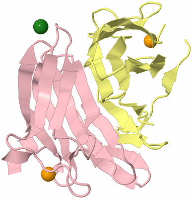 Image Biological Unit 2