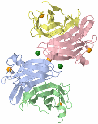 Image Biological Unit 3