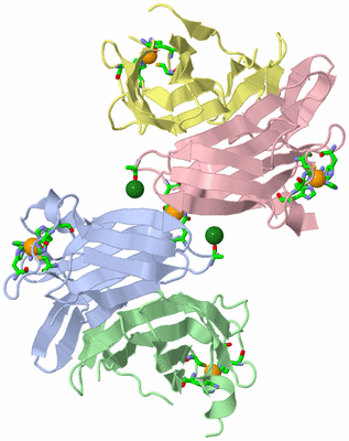 Image Asym. Unit - sites