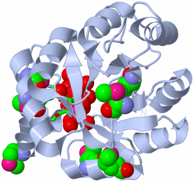 Image Biol. Unit 1 - sites