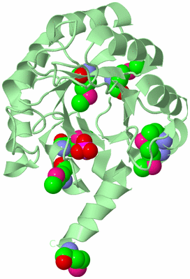 Image Biological Unit 2
