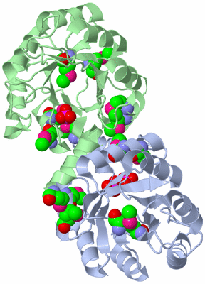 Image Biological Unit 3