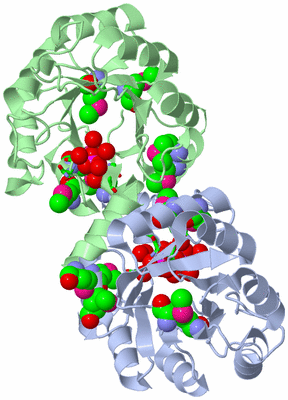 Image Asym. Unit - sites