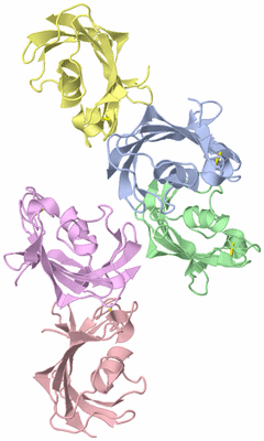 Image Asymmetric Unit