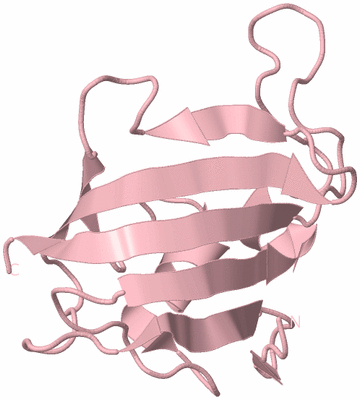Image Biological Unit 3