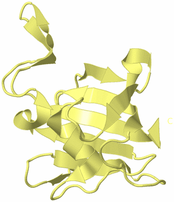 Image Biological Unit 4