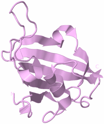 Image Biological Unit 5