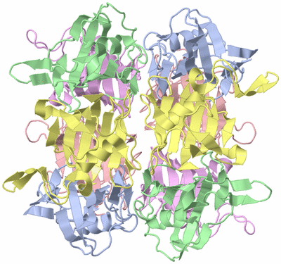 Image Biological Unit 6