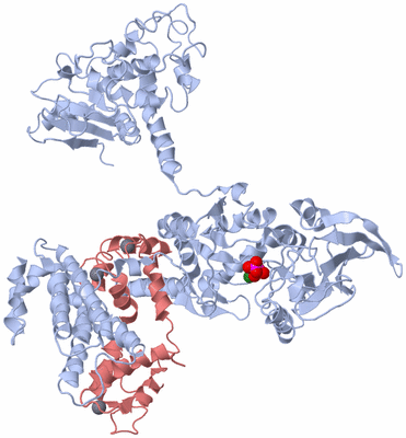 Image Biological Unit 1