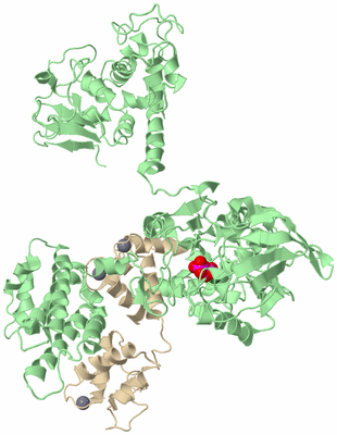 Image Biological Unit 2